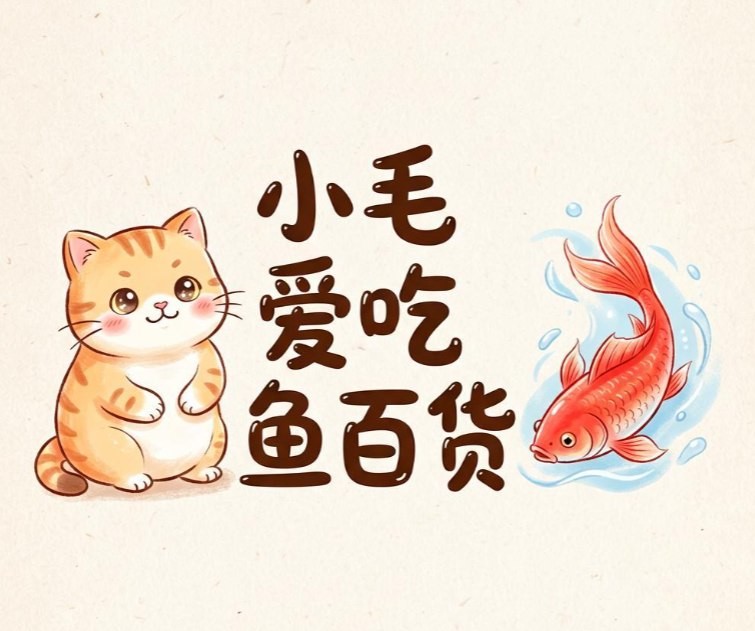 小毛爱吃鱼百货