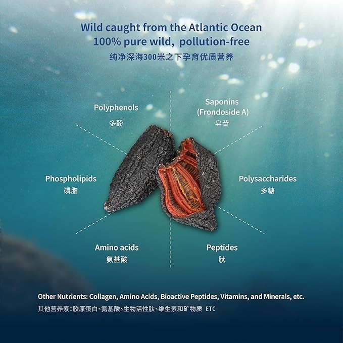 ROSALYN® Premium Atlantic Canada Wild Caught Sea Cucumber Dried Combo -Whole Cut-454g(2 pack) + Butterfly Cut-454g(1 pack)| CFIA Certified| Rich in Protein & Minerals| 8 Years(Pack 3)