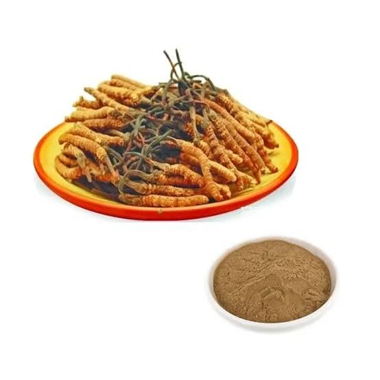 Cordyceps