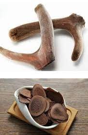 Deer antler