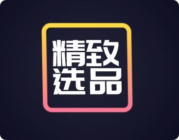 精致选品
